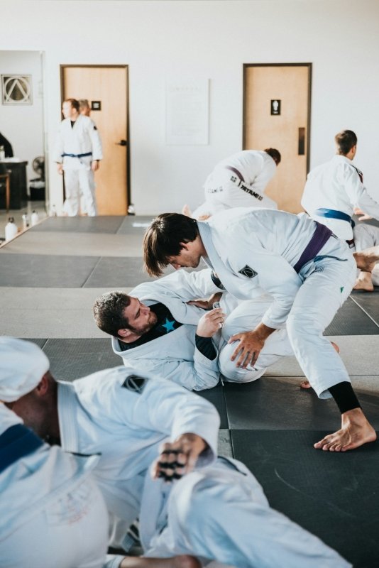 Elevate Your MMA and Judo Strategies with a 5ft Training Partner - MNEX PRO FIGHTING LIMITED
