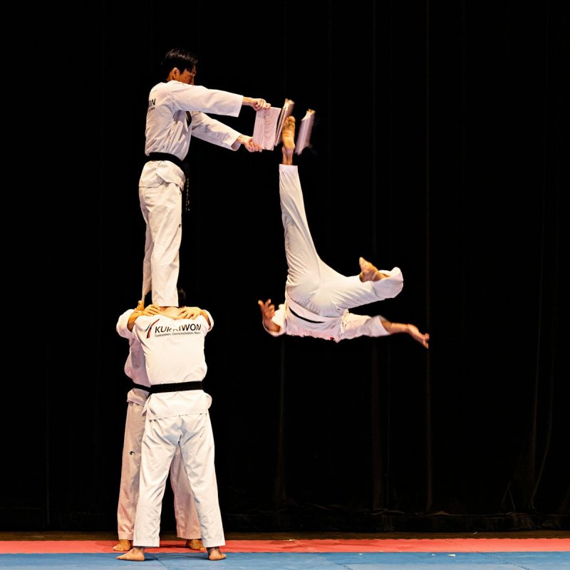 Why Every Martial Artist Needs the 4ft Grappling Dummy for Skills Enhancement - MNEX PRO FIGHTING LIMITED
