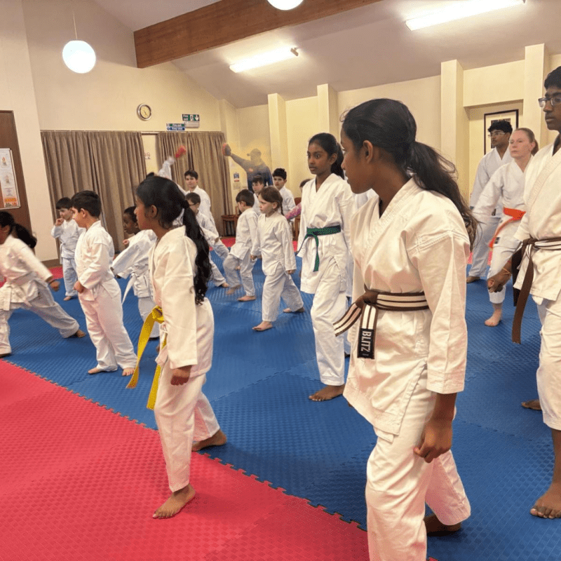 40mm Premium Karate Mats with Dual - Color EVA Tiles for MMA, Yoga, Gymnastics, and Fitness Training - MNEX PRO FIGHTING LIMITED