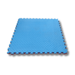 40mm Premium Karate Mats with Dual - Color EVA Tiles for MMA, Yoga, Gymnastics, and Fitness Training - MNEX PRO FIGHTING LIMITED