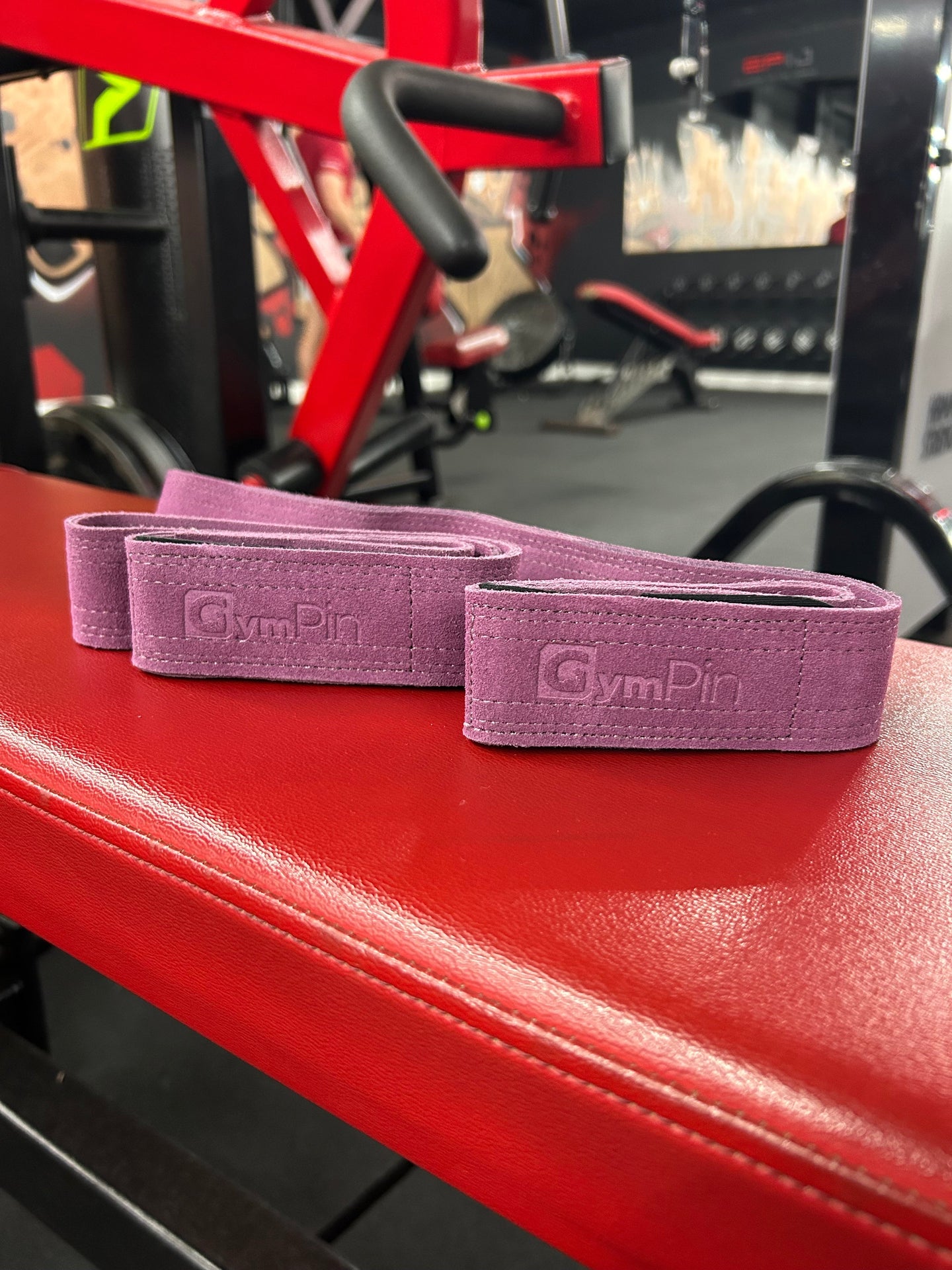 GymPin Padded Leather Weight Lifting Straps - MNEX PRO FIGHTING LIMITED