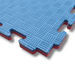 Premium Reversible MMA Interlocking Mats - MNEX PRO FIGHTING LIMITED
