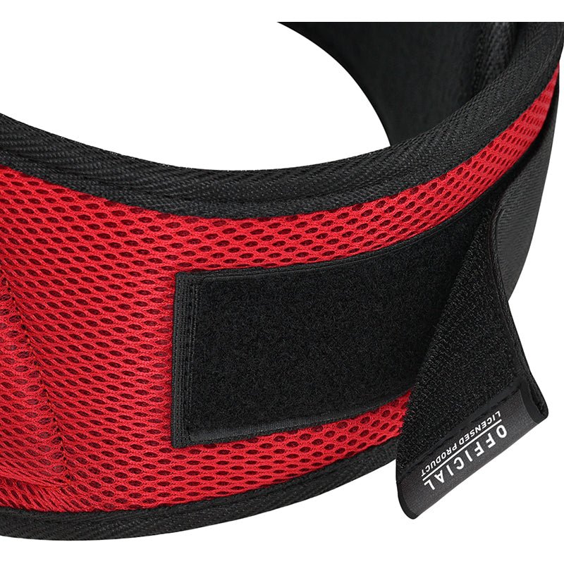 RDX RX4 Weightlifting Belt - MNEX PRO FIGHTING LIMITED