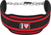 T7 Weight Training Dipping Belt Chain#color_red